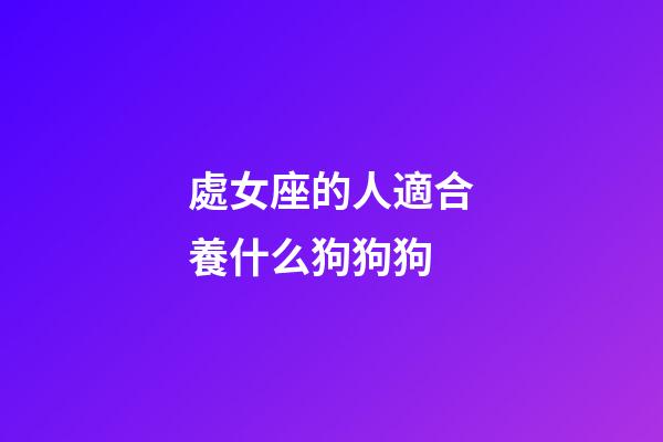 處女座的人適合養什么狗狗狗-第1張-星座運勢-玄機派