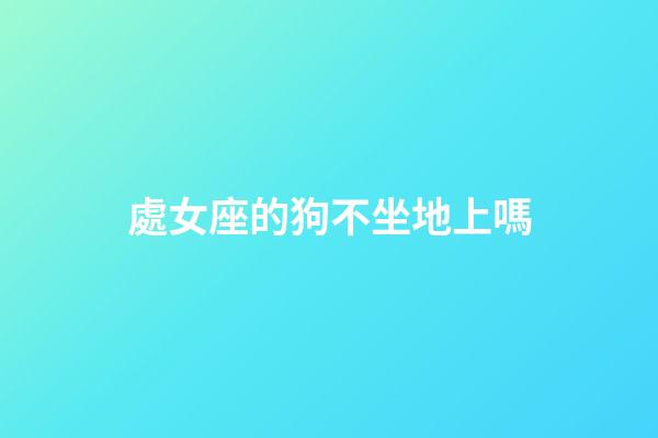處女座的狗不坐地上嗎-第1張-星座運勢-玄機派