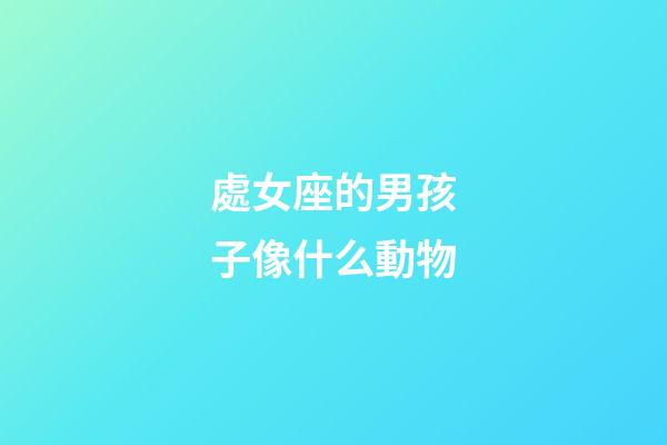 處女座的男孩子像什么動物-第1張-星座運(yùn)勢-玄機(jī)派