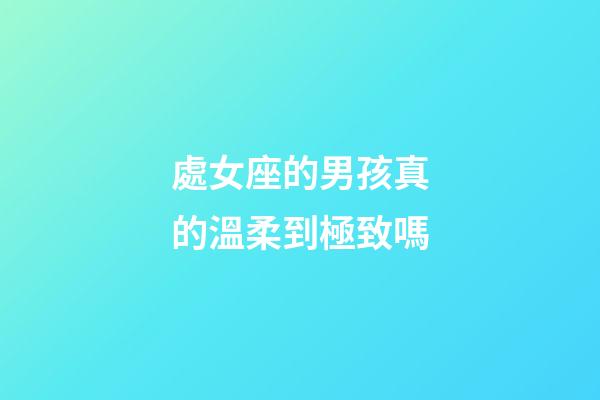 處女座的男孩真的溫柔到極致嗎-第1張-星座運勢-玄機派