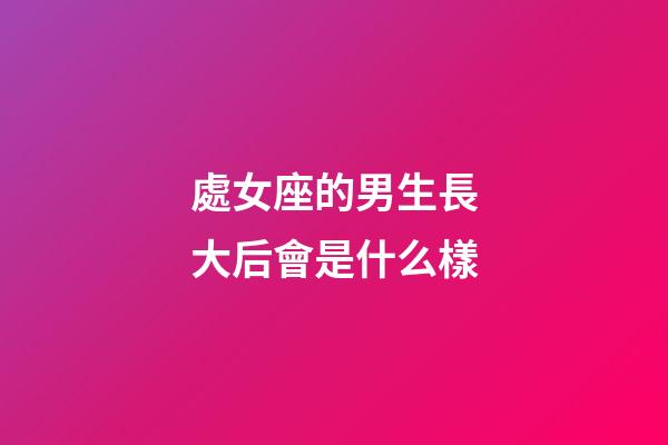 處女座的男生長大后會是什么樣-第1張-星座運勢-玄機派