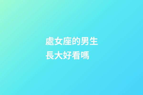 處女座的男生長大好看嗎-第1張-星座運勢-玄機派