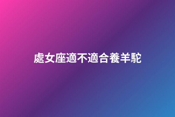 處女座適不適合養羊駝-第1張-星座運勢-玄機派