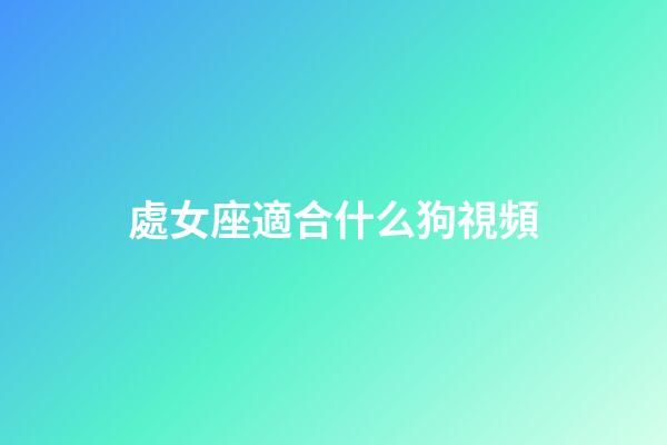 處女座適合什么狗視頻-第1張-星座運勢-玄機派