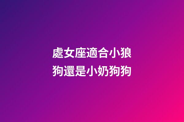 處女座適合小狼狗還是小奶狗狗-第1張-星座運(yùn)勢(shì)-玄機(jī)派