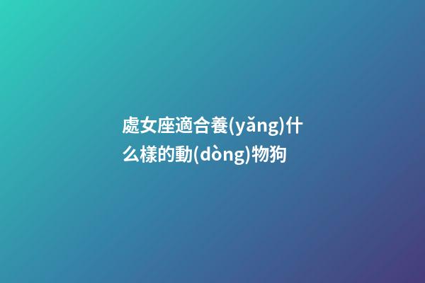 處女座適合養(yǎng)什么樣的動(dòng)物狗-第1張-星座運(yùn)勢-玄機(jī)派