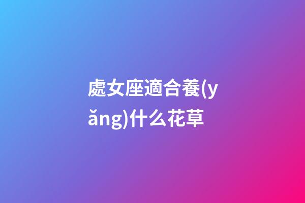 處女座適合養(yǎng)什么花草-第1張-星座運勢-玄機派