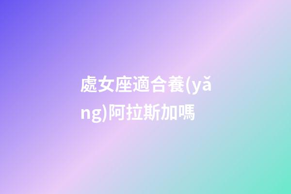 處女座適合養(yǎng)阿拉斯加嗎