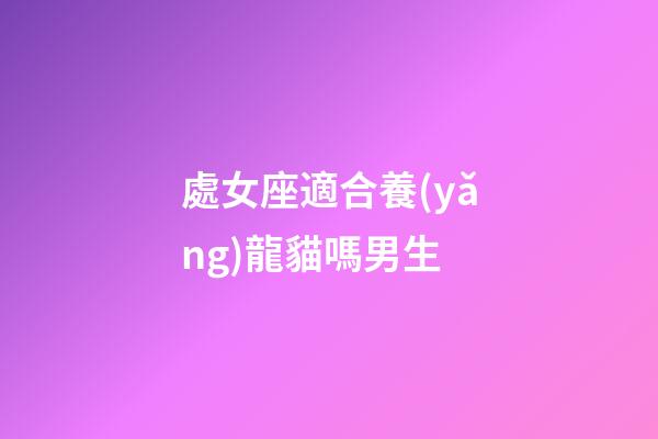 處女座適合養(yǎng)龍貓嗎男生