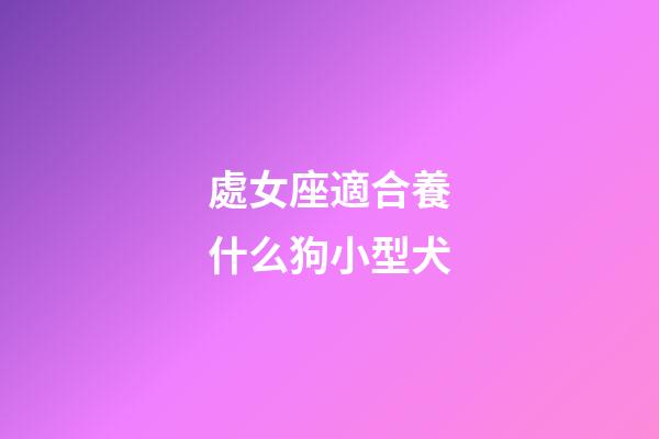 處女座適合養什么狗小型犬-第1張-星座運勢-玄機派