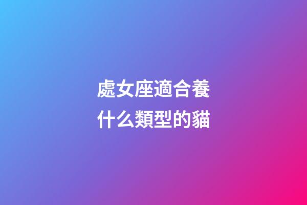 處女座適合養什么類型的貓