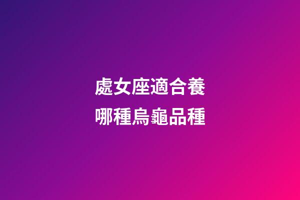 處女座適合養哪種烏龜品種-第1張-星座運勢-玄機派