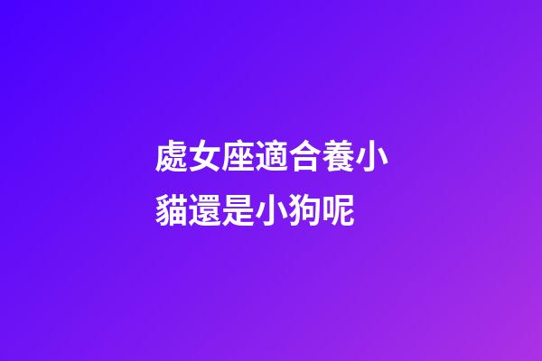 處女座適合養小貓還是小狗呢-第1張-星座運勢-玄機派