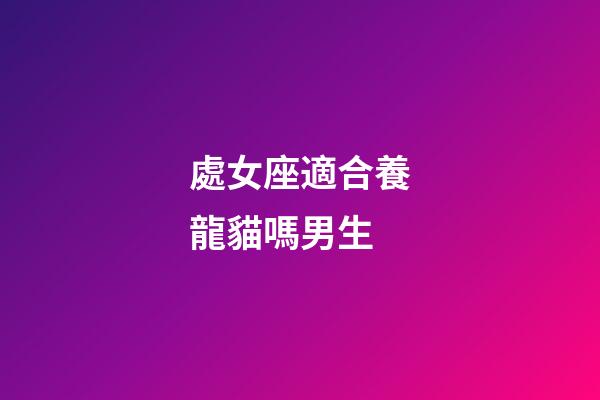 處女座適合養龍貓嗎男生-第1張-星座運勢-玄機派