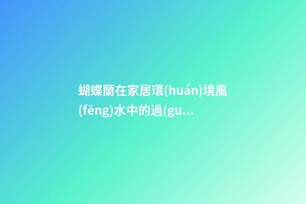 蝴蝶蘭在家居環(huán)境風(fēng)水中的過(guò)人之處