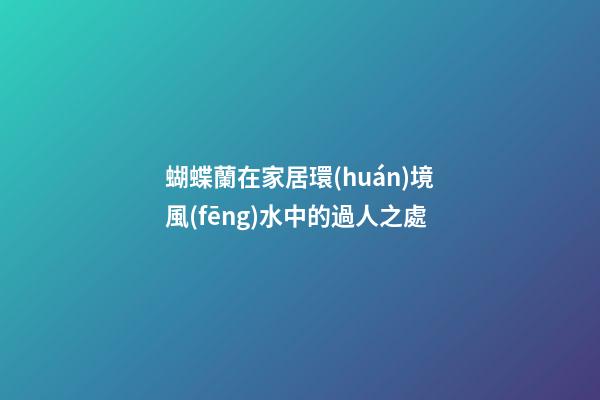蝴蝶蘭在家居環(huán)境風(fēng)水中的過人之處