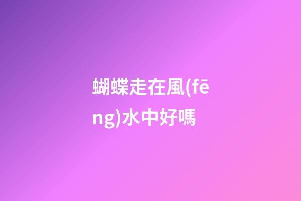 蝴蝶走在風(fēng)水中好嗎