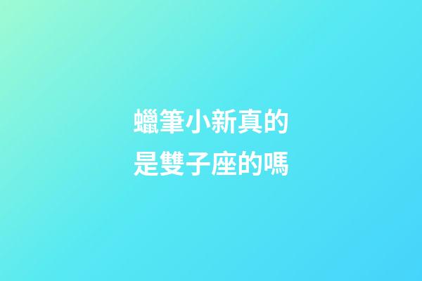 蠟筆小新真的是雙子座的嗎-第1張-星座運勢-玄機(jī)派