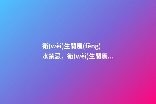 衛(wèi)生間風(fēng)水禁忌，衛(wèi)生間馬桶的六大風(fēng)水講究