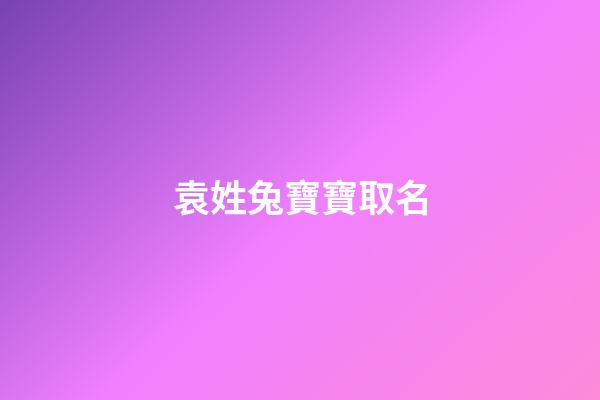 袁姓兔寶寶取名(袁姓兔寶寶取名兩個字)-第1張-寶寶起名-玄機派