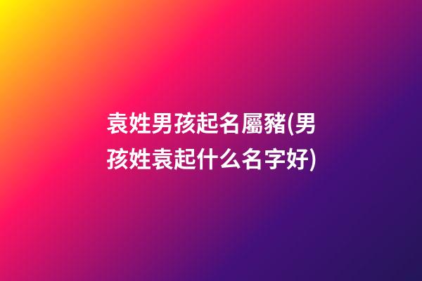 袁姓男孩起名屬豬(男孩姓袁起什么名字好)