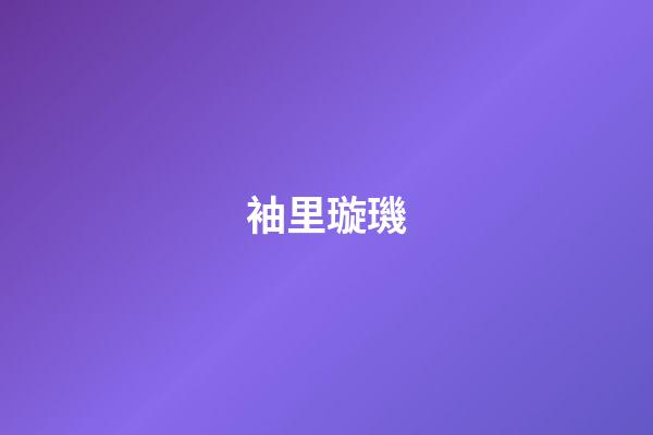 袖里璇璣