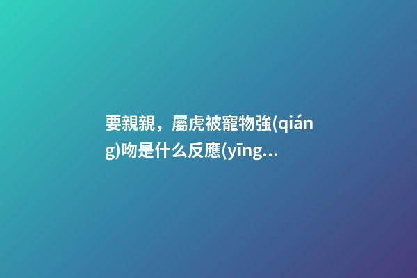 要親親，屬虎被寵物強(qiáng)吻是什么反應(yīng)