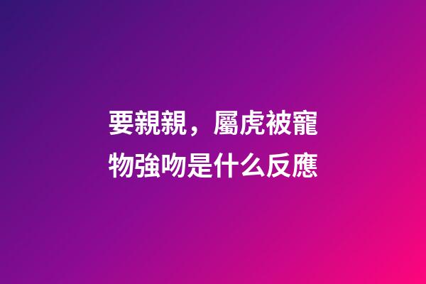 要親親，屬虎被寵物強吻是什么反應