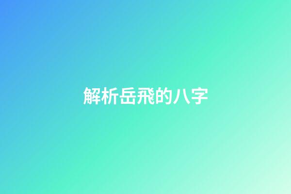 解析岳飛的八字