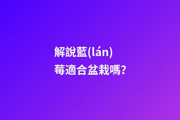 解說藍(lán)莓適合盆栽嗎？
