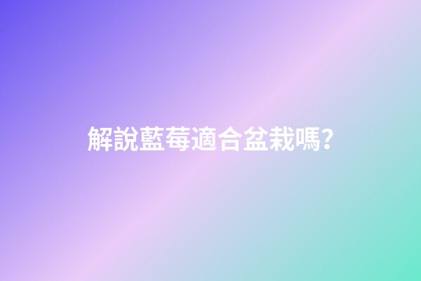 解說藍莓適合盆栽嗎？