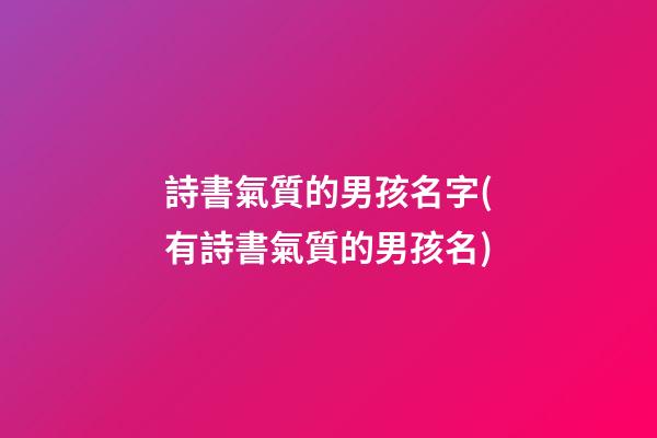 詩書氣質的男孩名字(有詩書氣質的男孩名)