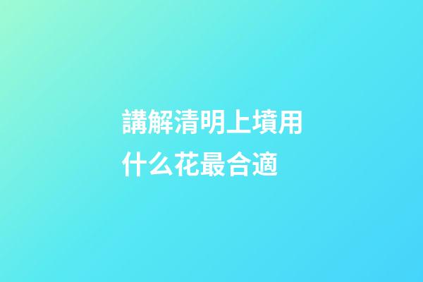 講解清明上墳用什么花最合適