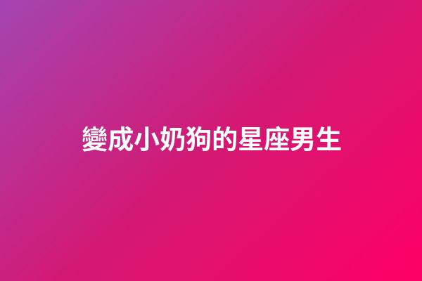變成小奶狗的星座男生-第1張-星座運勢-玄機派