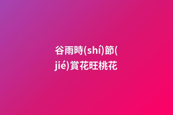 谷雨時(shí)節(jié)賞花旺桃花