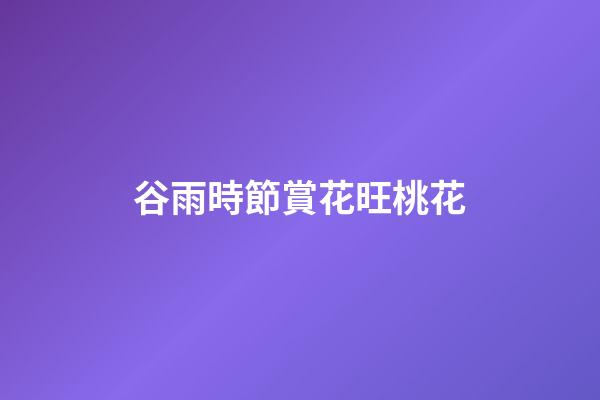 谷雨時節賞花旺桃花