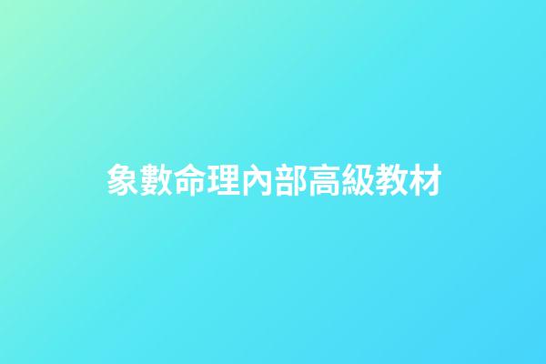 象數命理內部高級教材