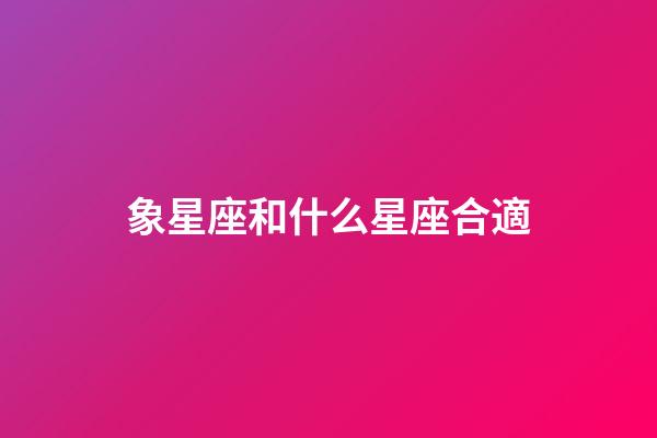 象星座和什么星座合適-第1張-星座運勢-玄機派