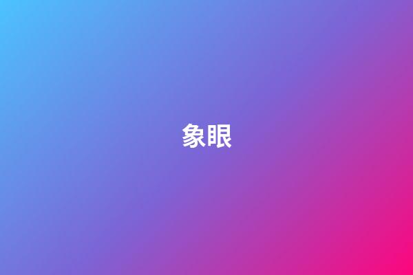 象眼