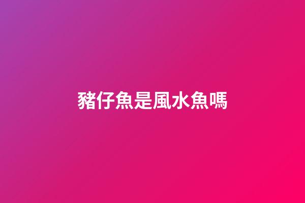 豬仔魚是風水魚嗎