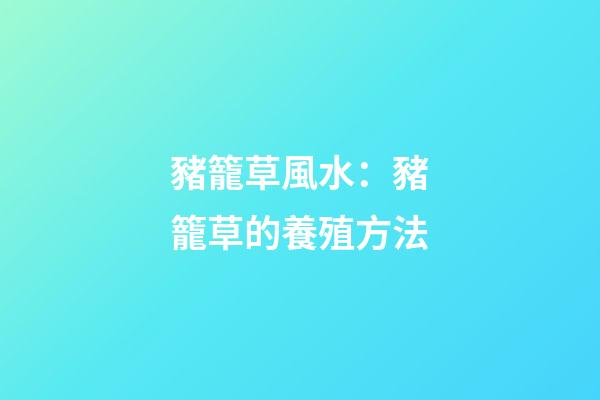 豬籠草風水：豬籠草的養殖方法