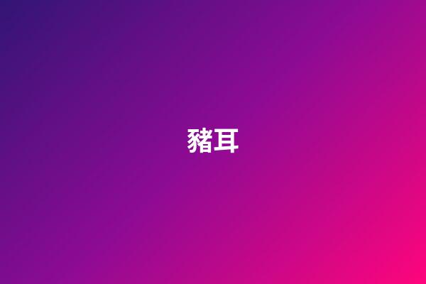 豬耳