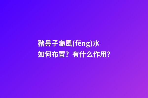 豬鼻子龜風(fēng)水如何布置？有什么作用？