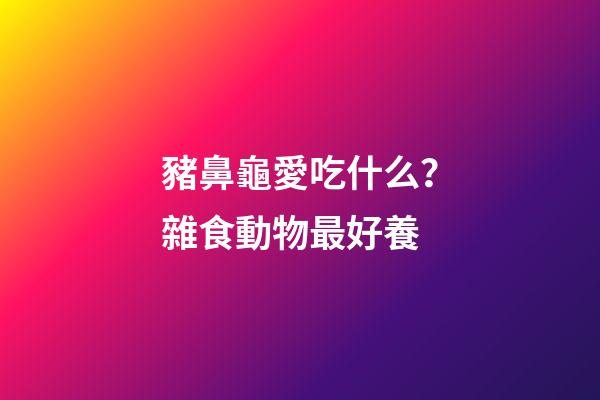 豬鼻龜愛吃什么？雜食動物最好養