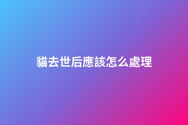 貓去世后應該怎么處理