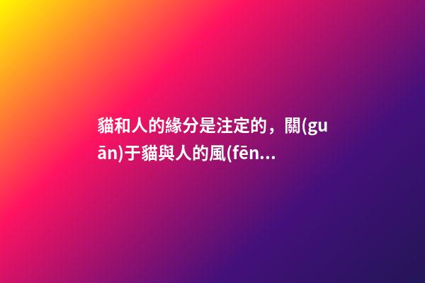 貓和人的緣分是注定的，關(guān)于貓與人的風(fēng)水