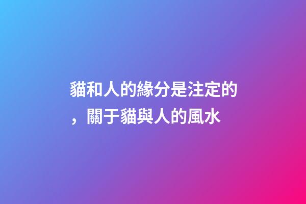 貓和人的緣分是注定的，關于貓與人的風水