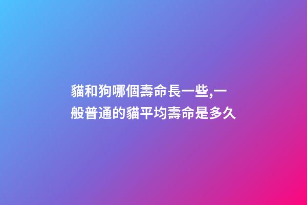 貓和狗哪個壽命長一些,一般普通的貓平均壽命是多久-第1張-觀點(diǎn)-玄機(jī)派