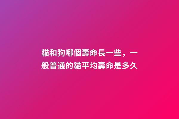貓和狗哪個壽命長一些，一般普通的貓平均壽命是多久