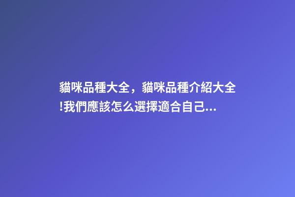 貓咪品種大全，貓咪品種介紹大全!我們應該怎么選擇適合自己的貓咪-第1張-觀點-玄機派